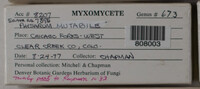 Image Associated With the Occurence